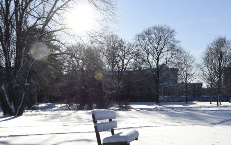 En utomhusbänk omgiven av ett snötäcke och solen som lyser.